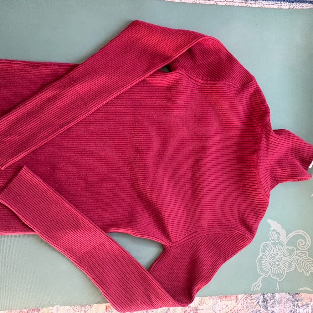 Express fitted turtleneck maroon NWT